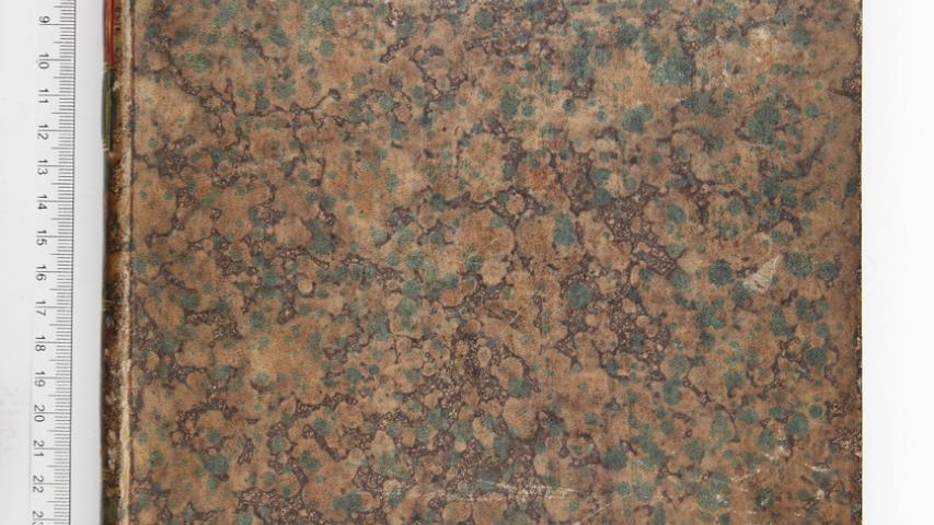 Pasta goteada en verde